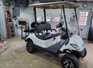 2011 Yamaha Drive G29 Gas Golf Cart