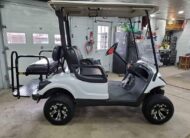 2011 Yamaha Drive G29 Gas Golf Cart