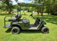 Electric 2010 EZ-GO GOLF CART