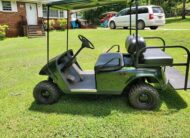 Electric 2010 EZ-GO GOLF CART