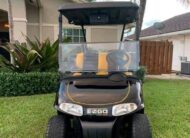 2015 Ezgo rxv 48v