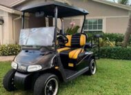 2015 Ezgo rxv 48v