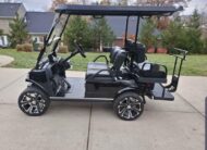 2021 Evolution golf cart