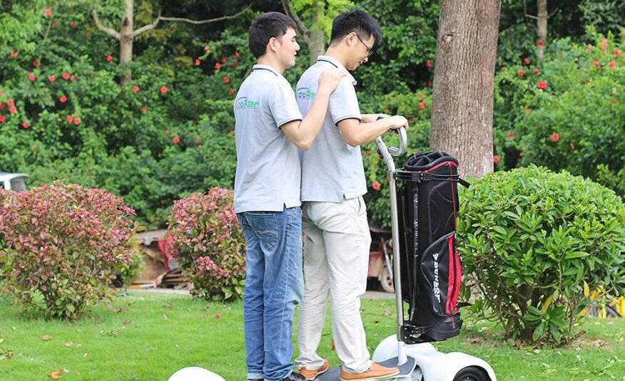 Ecorider cheap 60V 18.2Ah 1000W Golf ⛳️ Board 4- wheel Electric Golf cart