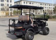 4 passengers Electric Golf car With 48V 4KW