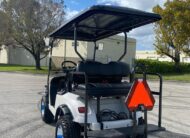 Club Car DS electric golf cart